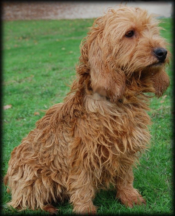 Pacha du Domaine D'Asgard